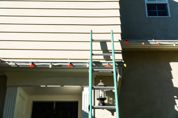 Best Custom Trim and Detailing for Siding  in Pion Hills, CA