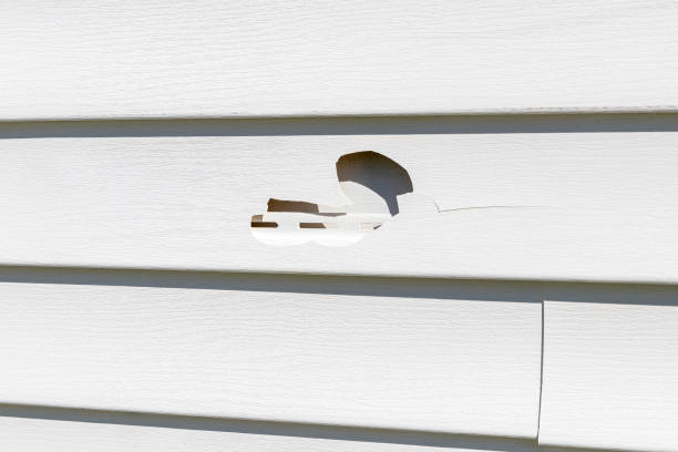 How To Choose The Right Materials for Your Siding Installation in 'Pion Hills, CA